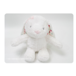 Nursing Toy Manufacturer - Gift Box Bear Flannel Blanket