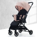 Baby Pram Supplier - 3 in 1 Luxury Landscape
