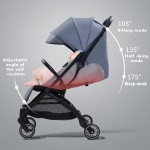 Stroller Manufacturer - Convenience Canopy Two-Way