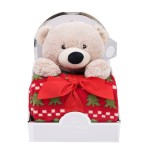 Nursing Toy Manufacturer - Gift Box Bear Flannel Blanket