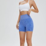 Women's Gym Shorts Factory - High Quality Seamless