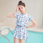 One-Piece Swimdress Factory - 2024 Summer New Princess
