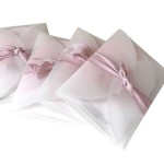 Sulfuric Acid Paper Envelope Manufacturer - Custom Translucent Butterfly Buckle Cover