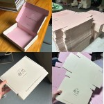 Airplane Packaging Box Manufacturer - Custom Corrugated Jewelry Nail Storage Gift Box