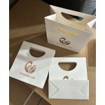 Jewelry Packaging Bag Manufacturer - Custom Pink Gift Paper Bag Nail Salon Storage