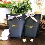 Shopping Paper Bag Manufacturer - Custom Black Luxury Brand