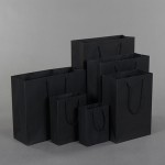 Packaging Paper Bag Factory - Custom Cosmetic Jewelry Bag