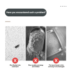 Food Storage Box Manufacturer - Hot Sale Cereal Dispenser Kitchen Grain Container