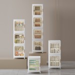 Home Storage Organizer Manufacturer - 4 Layers Living Room Sneakers Display Cabinet
