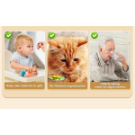 Weekly Pill Box Manufacturer - 7 Day 3 Times Daily Large Capacity Organizer