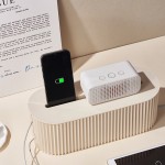 Scented Candle Manufacturer - Luxury Conch Unique Personalized