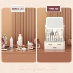 Cat Tunnel Manufacturer - Collapsible Fun Multiple Play