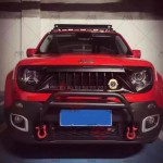 Grille Kits Manufacturer - Angry Bird Style for Renegade