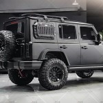 Grille Fender Flares Factory - Headlights Kit for BAW 212