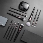 Makeup Brush Set Factory - Black Luxury 11 Piece Custom Logo Travel Set