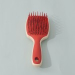 Massage Comb Manufacturer - Four Colors Candy Air Cushion Tangle Free Management