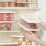 Food Storage Container Manufacturer - Leak-Proof Microwave Freezer Safe