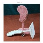 Earring Display Stand Manufacturer - Retail Ear Shape Organizer Holder
