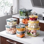 Food Storage Box Manufacturer - PET Transparent Sealed Keeping