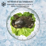 Food Storage Box Manufacturer - BPA Free Multifunction Freshness