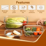 Rectangular Lunch Box Manufacturer - Microwavable Glass Bento Container