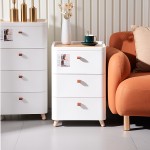 Organizer Cabinet Manufacturer - Simple Style Combination Layered