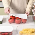 Refrigerator Organizer Manufacturer - Clear Stackable Freshness Preservation