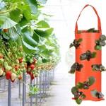 Strawberry Planting Bag Manufacturer - PE Vertical Hanging Container