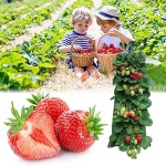 Strawberry Planting Bag Manufacturer - PE Vertical Hanging Container