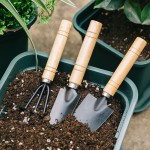Gardening Tool Set Manufacturer - Flower Rake Hoe Shovel Trowel