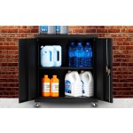 Metal File Cabinet Manufacturer - Wholesale Price 2 Door Storage