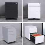 A3 Paper Cabinet Manufacturer - Cheap Metal 2 Drawer Lateral