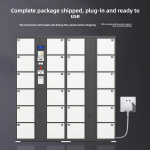 Electromagnetic Lock Manufacturer - 12V Electric Control Panel