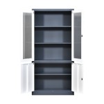 Glass Filing Cabinet Manufacturer - Steel Material with Lock