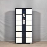 Smart Parcel Locker Manufacturer - Safe Convenient Metal Gym