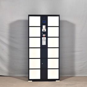 Smart Parcel Locker Manufacturer - Safe Convenient Metal Gym