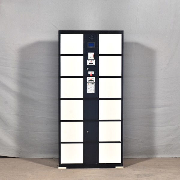 Smart Parcel Locker Manufacturer - Safe Convenient Metal Gym