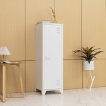 Single Door Locker Manufacturer - 1 Tier Gym Metal Storage