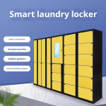 Laundry Locker Manufacturer - Outdoor 24H Self-service Online System