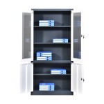 Glass Filing Cabinet Manufacturer - Steel Material with Lock