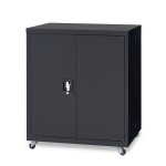 Metal File Cabinet Manufacturer - Wholesale Price 2 Door Storage