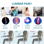 Lumbar Cushion Manufacturer - Ergonomic Memory Foam Sports