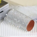 Tire Valve Caps Manufacturer - Combo Silver