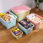 Storage Organizer Manufacturer - Multi-Size Color Decorative PP