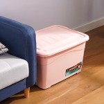 Storage Organizer Manufacturer - Multi-Size Color Decorative PP