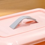 Office Storage Box Manufacturer - 5L Colorful for Under Bed