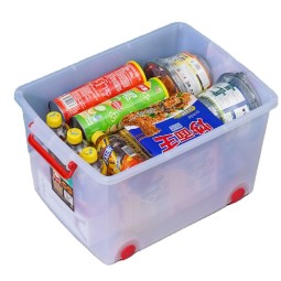 Clear Storage Box Manufacturer - 35L-60L Multipurpose Custom