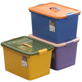 Small Plastic Box Manufacturer - 3L Quality with Lid