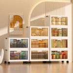 Storage Cabinet Manufacturer - 2 Layer Collapsible PP Plastic