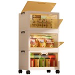 Closet Organizer Manufacturer - 3 Layer Transparent PP Folding